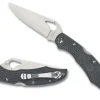 Cara Cara® 2 Gray FRN<Spyderco Best